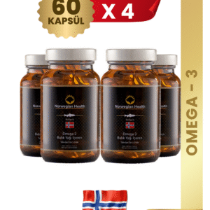 Norwegian Health Omega 3 X 4 Adet