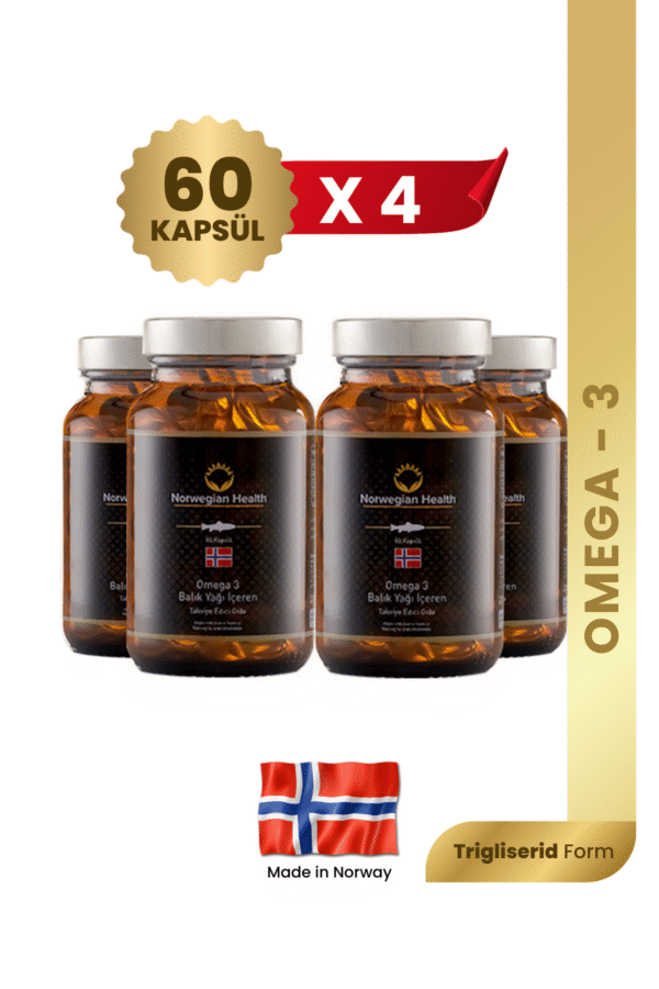 Norwegian Health Omega 3 X 4 Adet